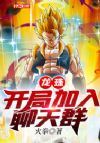 龙珠:开局加入聊天群