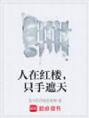 人在红楼,只手遮天