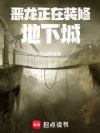 ��������װ�޵��³�