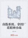 真假系统,拿捏厂花精神小妹